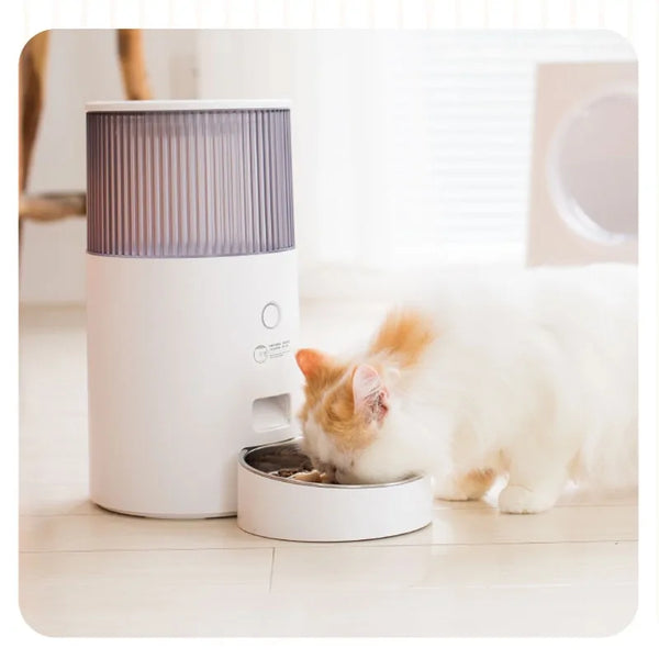 Purrfect Portions Automatic Feeder